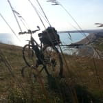 Neko+ | Trek Bikes (GB)