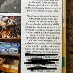 User submitted media