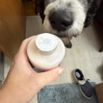 User submitted media 1 of 2