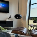 User submitted media