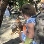 User submitted media 4 of 4