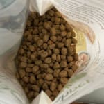 User submitted media 1 of 3