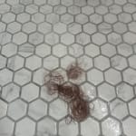 User submitted media