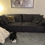 User submitted media