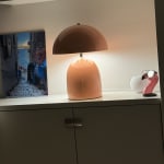 User submitted media