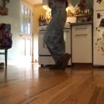 User submitted media 1 of 2