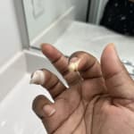 User submitted media