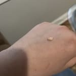 User submitted media 1 of 3