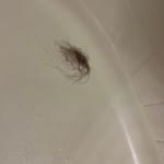 User submitted media 2 of 2