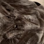 User submitted media 5 of 8