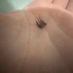 User submitted media 1 of 2