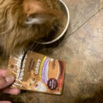 User submitted media 2 of 2