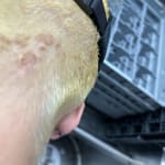 User submitted media