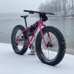 2020 surly on sale ice cream truck