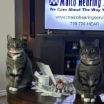 User submitted media