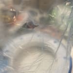 User submitted media 1 of 3