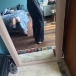 User submitted media