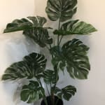 Large Faux Monstera Plant