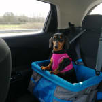 Heather booster seat for dogs shop