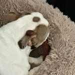 User submitted media 1 of 3