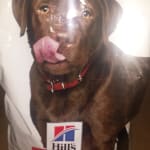 hills healthy mobility mini