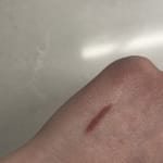 User submitted media 1 of 2