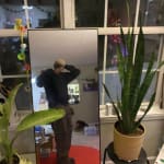 User submitted media