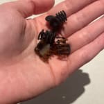 User submitted media