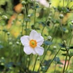 User submitted media 2 of 3