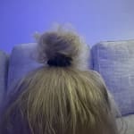 User submitted media