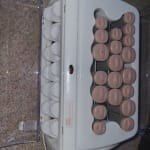 User submitted media