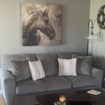 User submitted media
