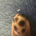 User submitted media 1 of 4