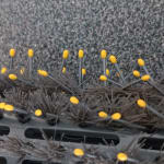 User submitted media 2 of 3