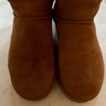 Bearpaw store cleaning kit