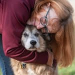 User submitted media