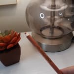 User submitted media 1 of 2