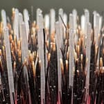 User submitted media