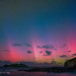 User submitted media