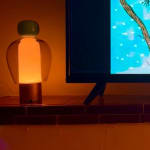 User submitted media