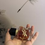 User submitted media 2 of 3