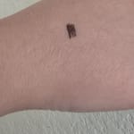 User submitted media 4 of 4