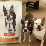 hills light small bites