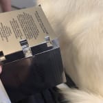 User submitted media