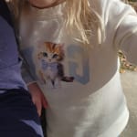 User submitted media