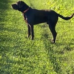 User submitted media 2 of 2