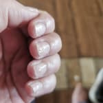 User submitted media