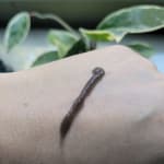 User submitted media 2 of 2