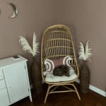 Fallon Natural Rattan Cocoon Chair with Cushion