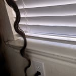 User submitted media 1 of 4